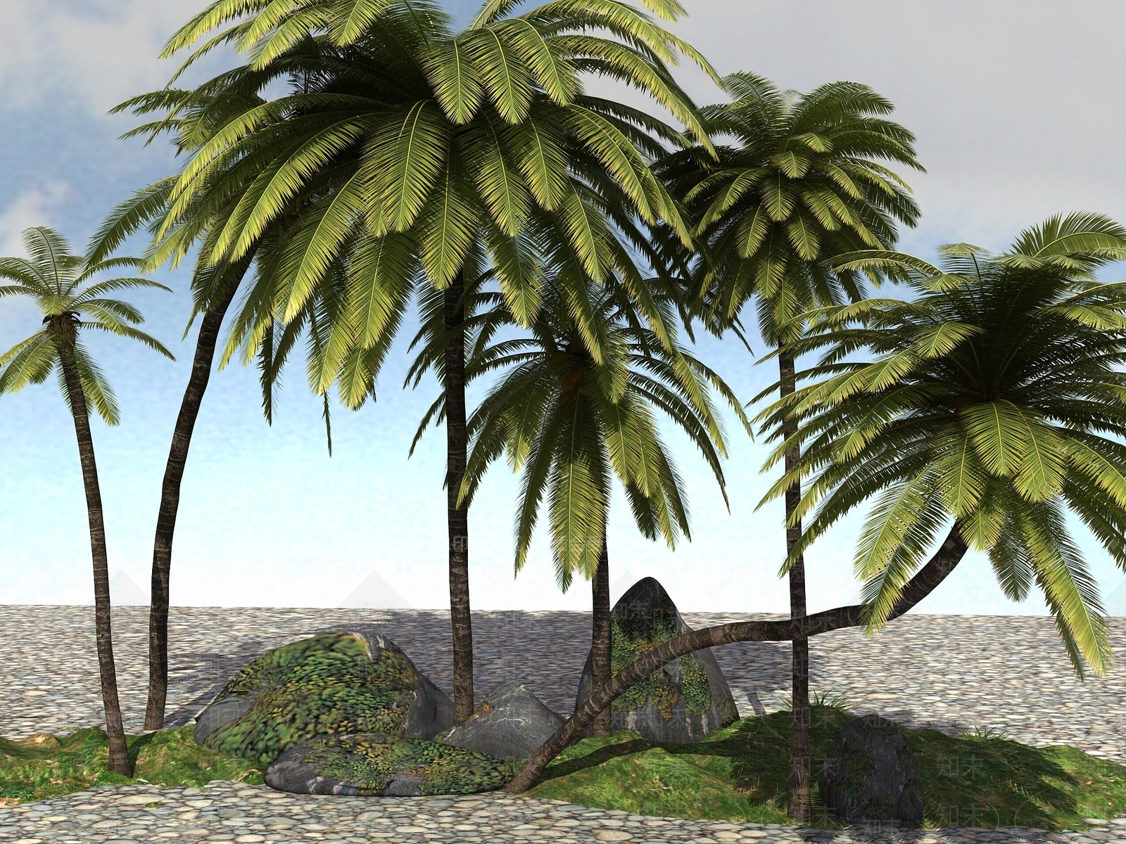热带植物3D模型下载【ID:1105201045】