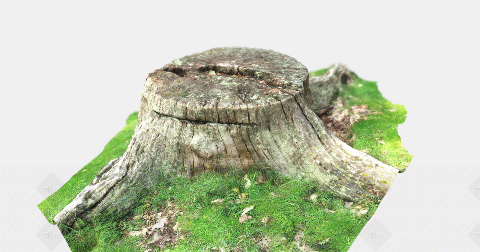 现代树桩3D模型下载【ID:1105274567】