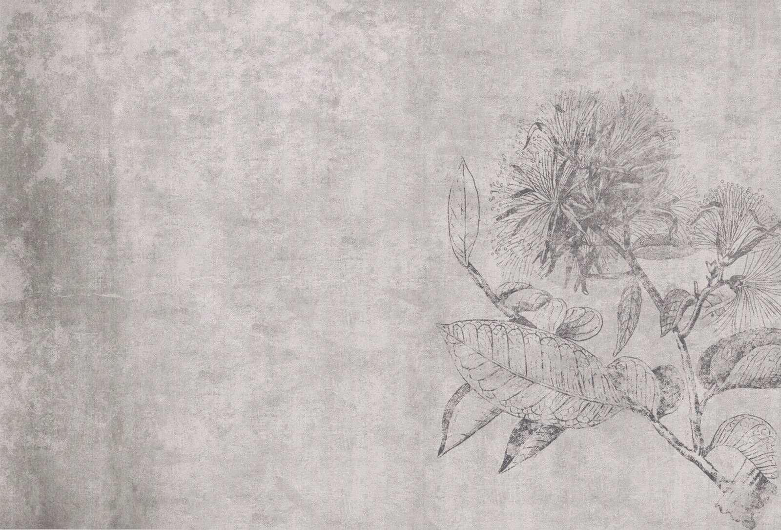 新中式花卉牡丹壁画壁纸贴图下载【ID:1105287524】