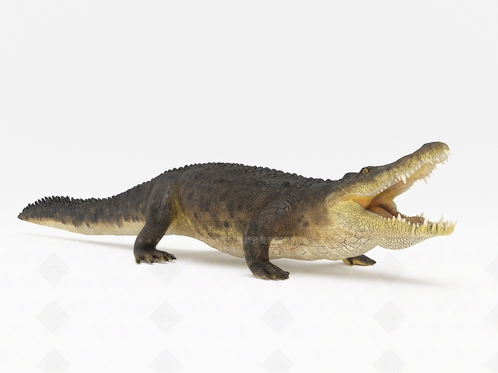 现代鳄鱼3D模型下载【ID:1105500325】