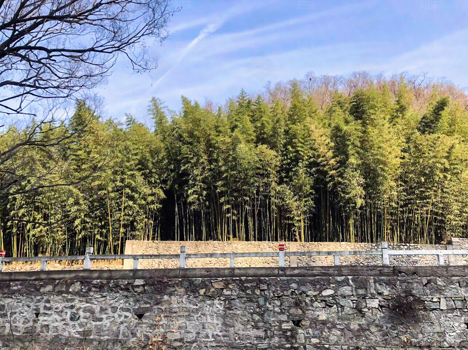 别墅窗户外景贴图下载【ID:1105517106】