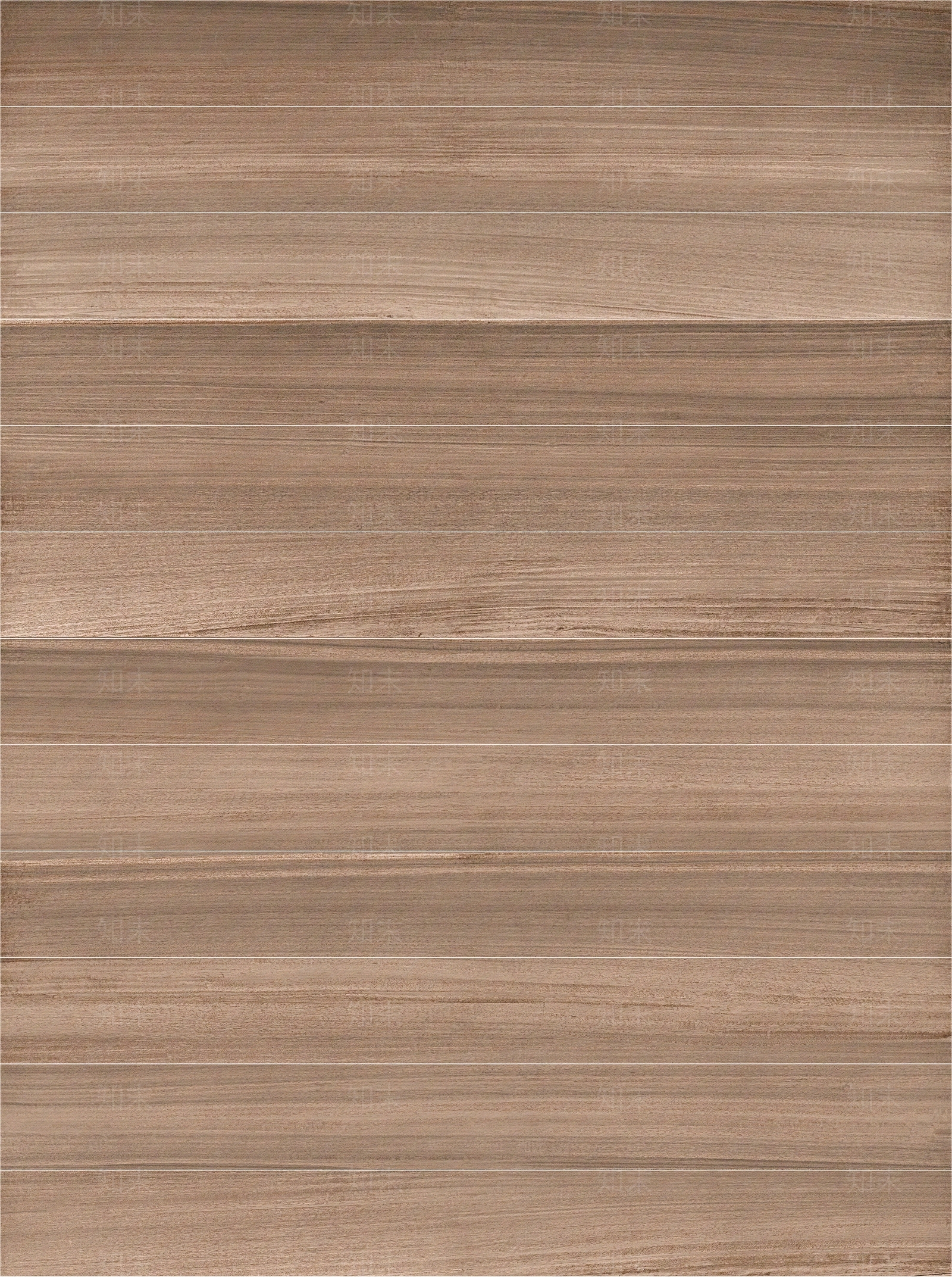 IMOLA蜜蜂瓷质贴图贴图下载【ID:1105698761】