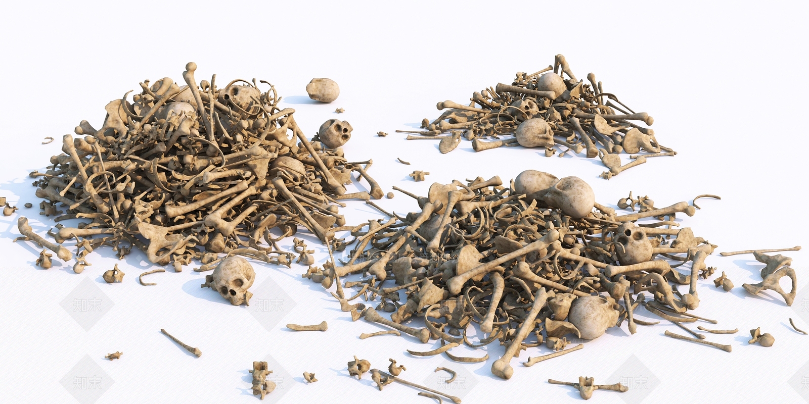 现代骷髅骨头3D模型下载【ID:1105809482】