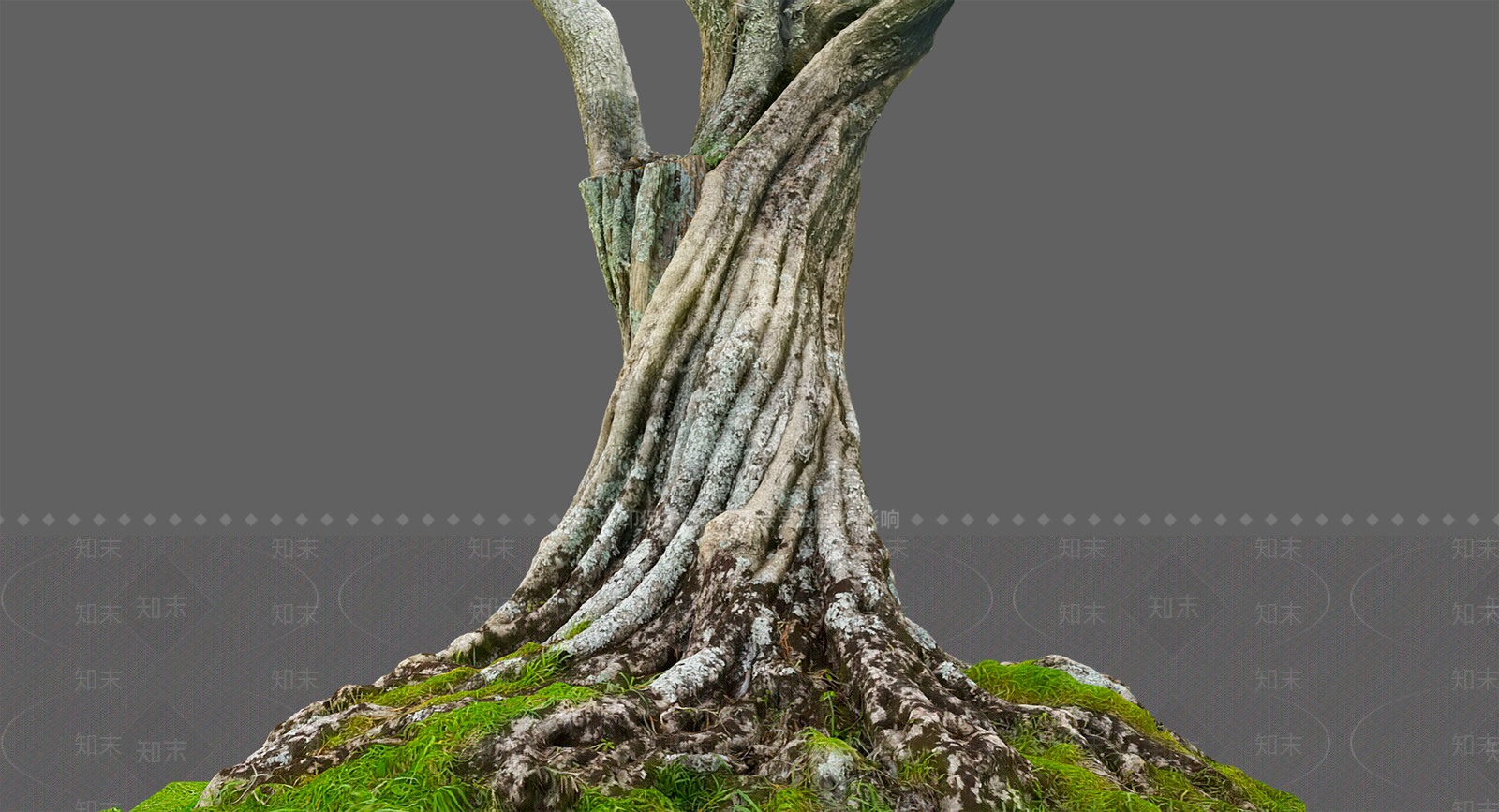 树干3D模型下载【ID:1106607517】