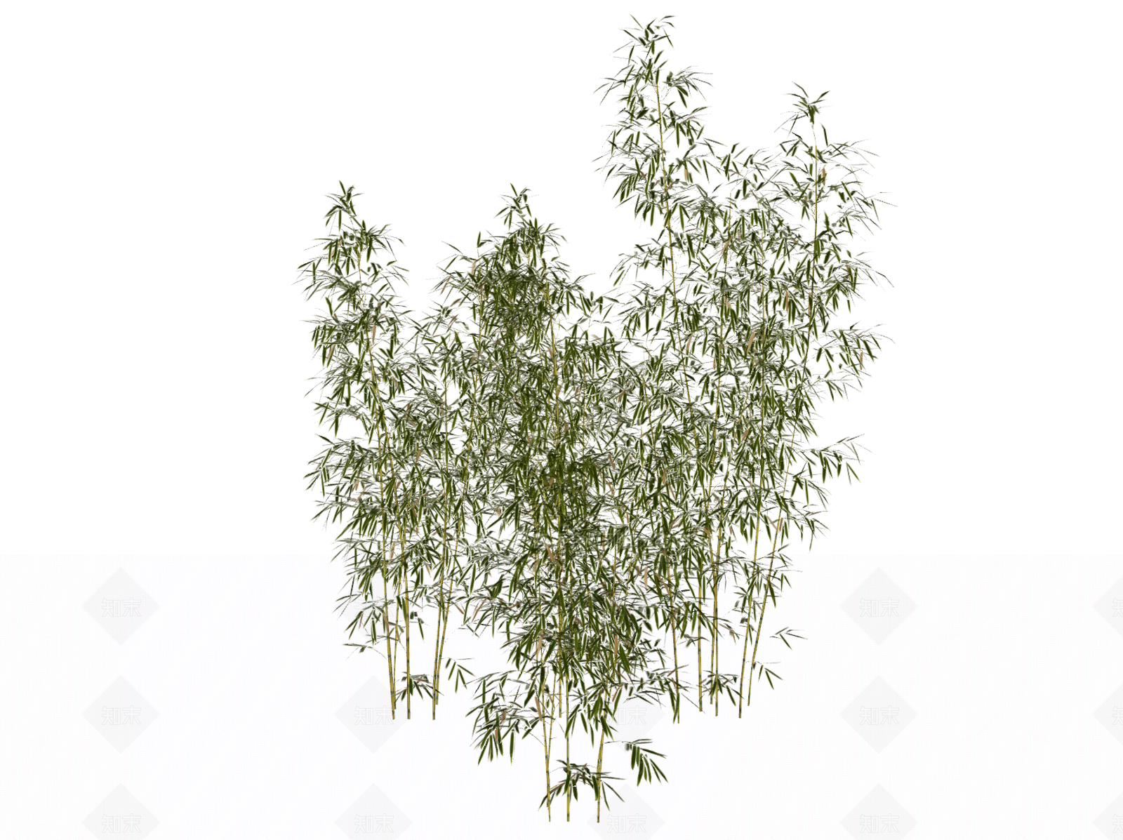 现代竹子SU模型下载【ID:1106044406】