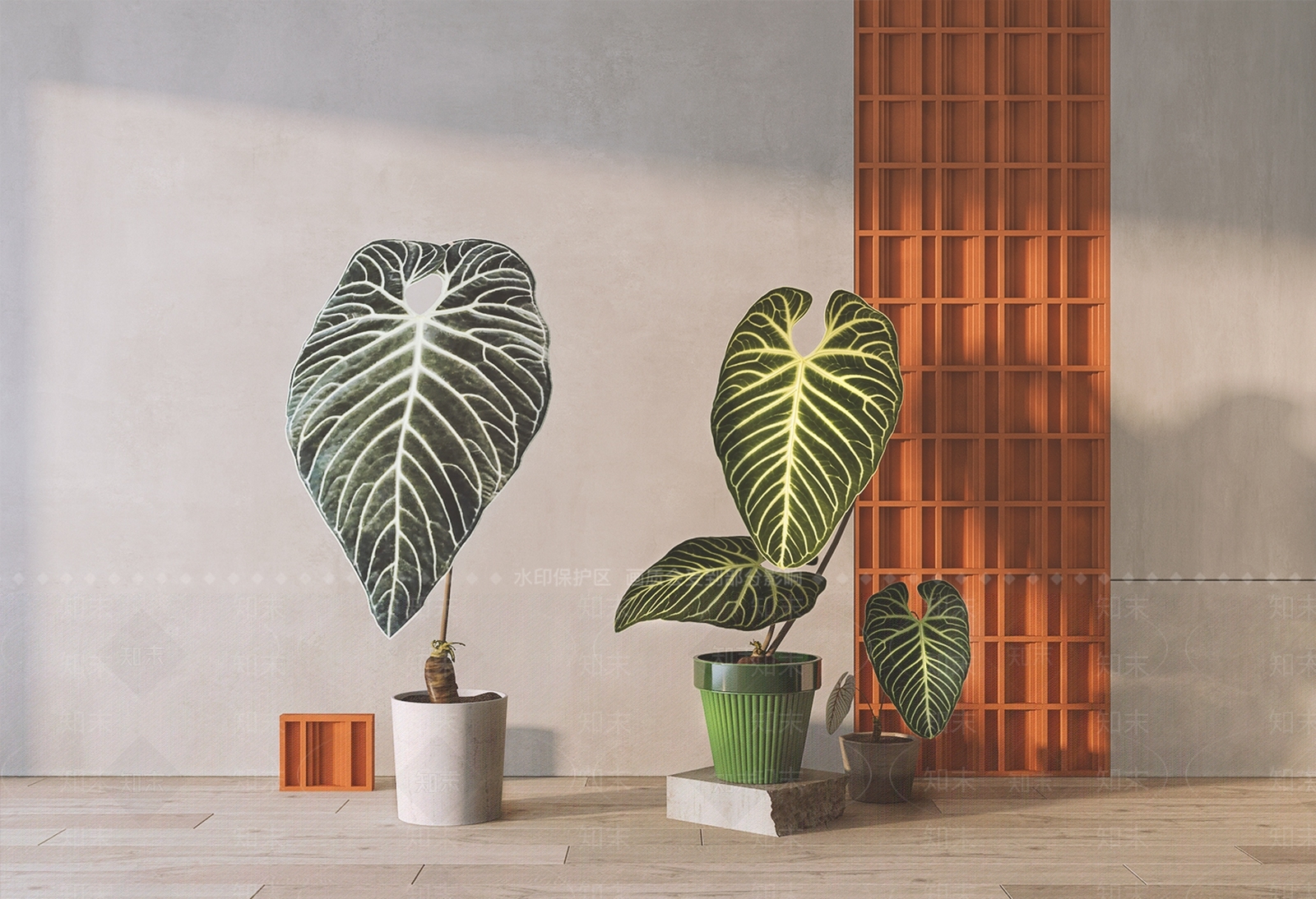 现代帝王花烛盆栽组合SU模型下载【ID:1106111596】