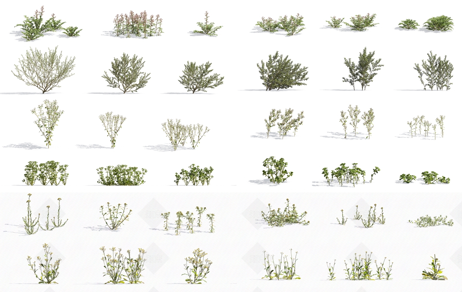 现代花草组合3D模型下载【ID:1106151996】