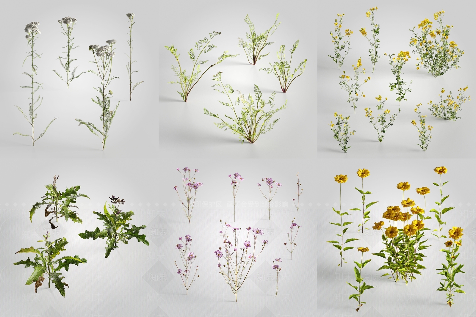 现代花草组合3D模型下载【ID:1106151901】