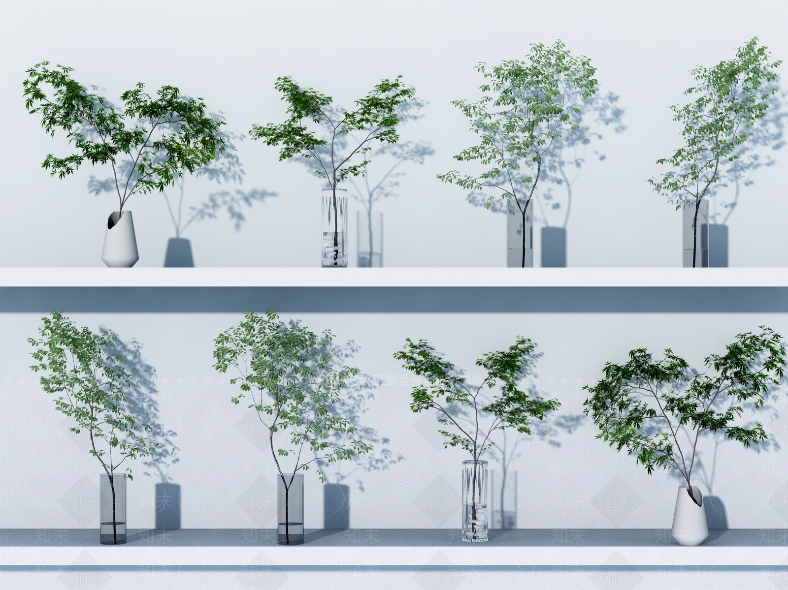 现代水生植物3D模型下载【ID:1106156845】