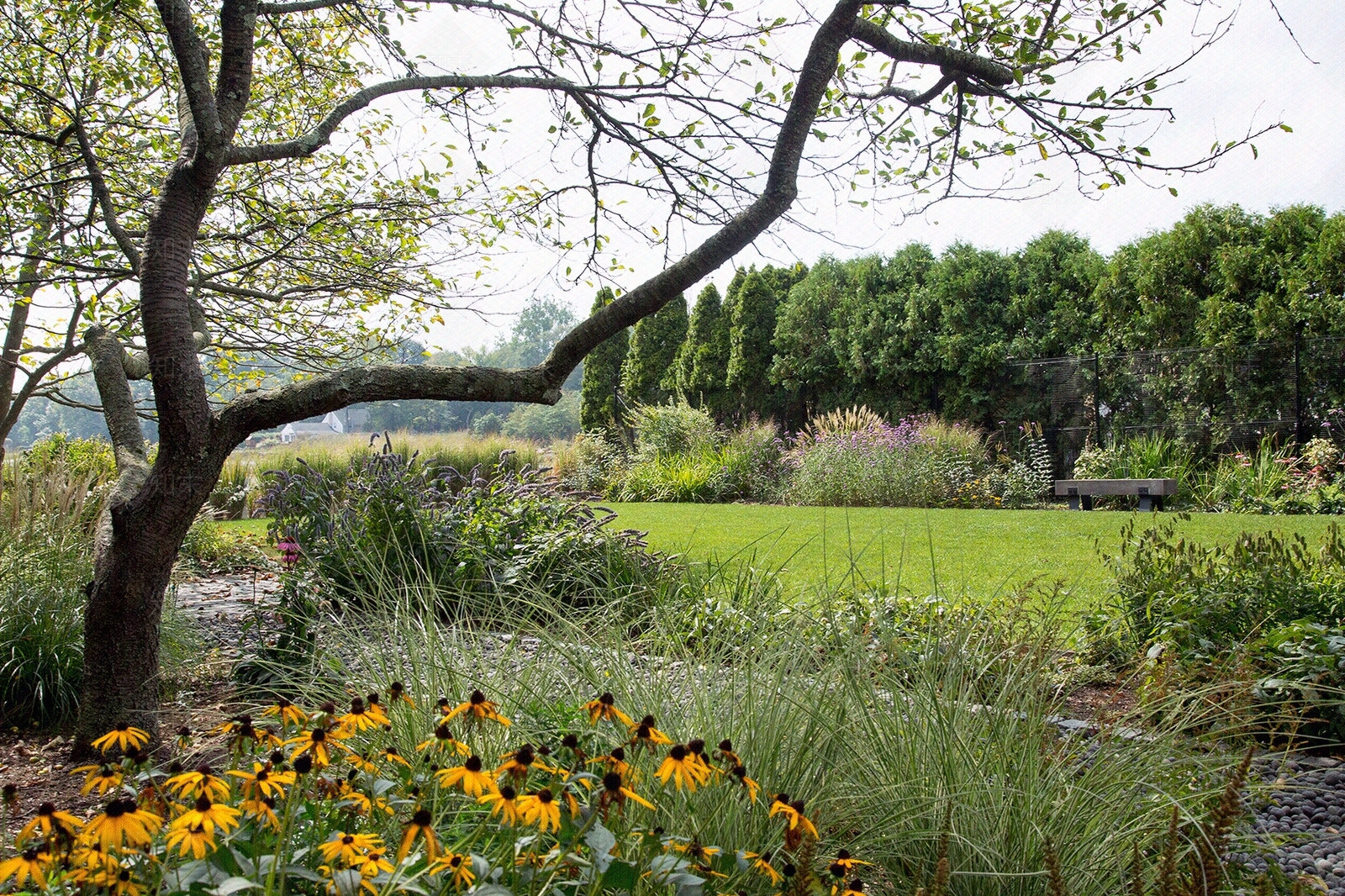 户外窗景外景树贴图下载【ID:1106236393】