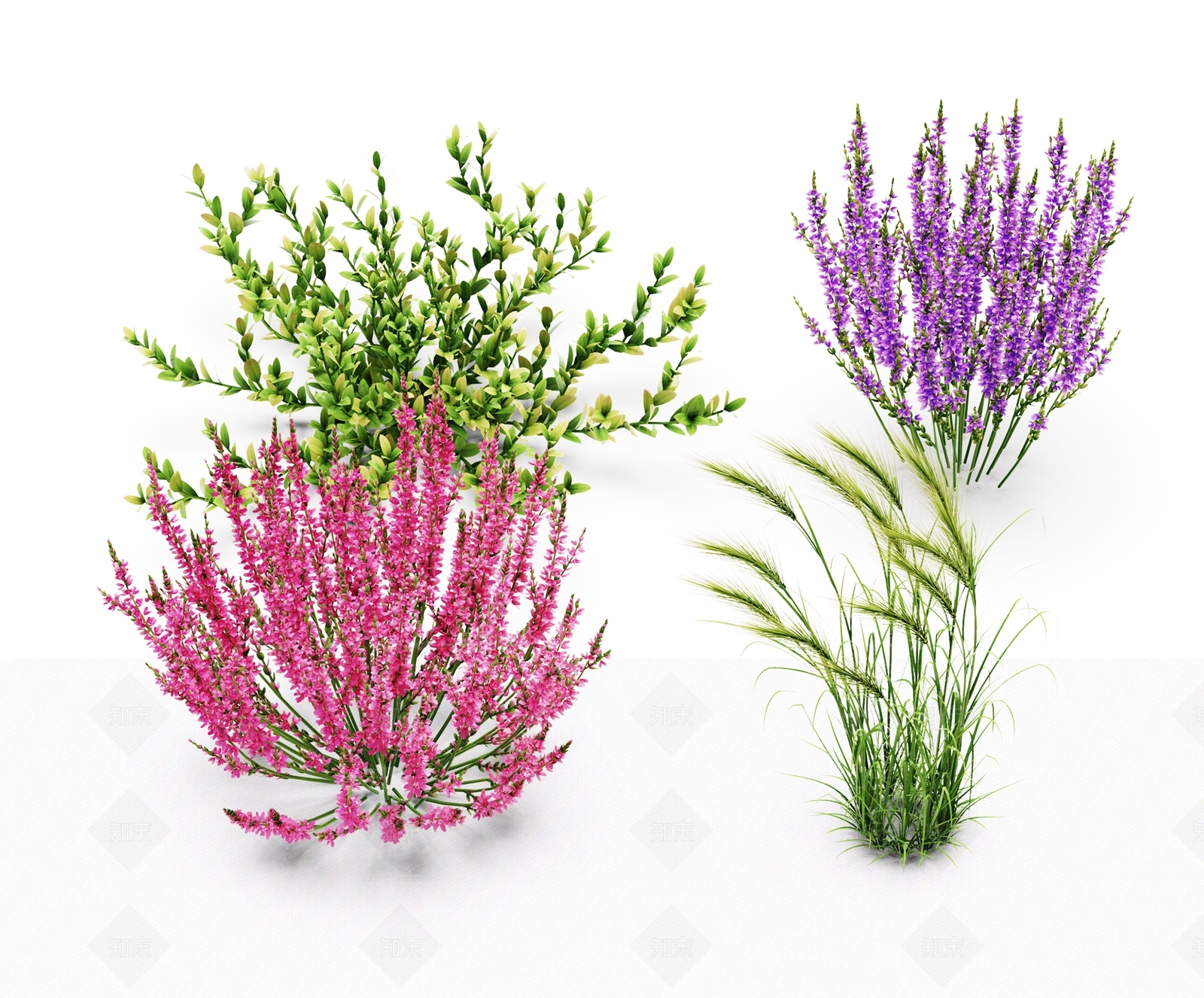 现代花草组合3D模型下载【ID:1106268730】