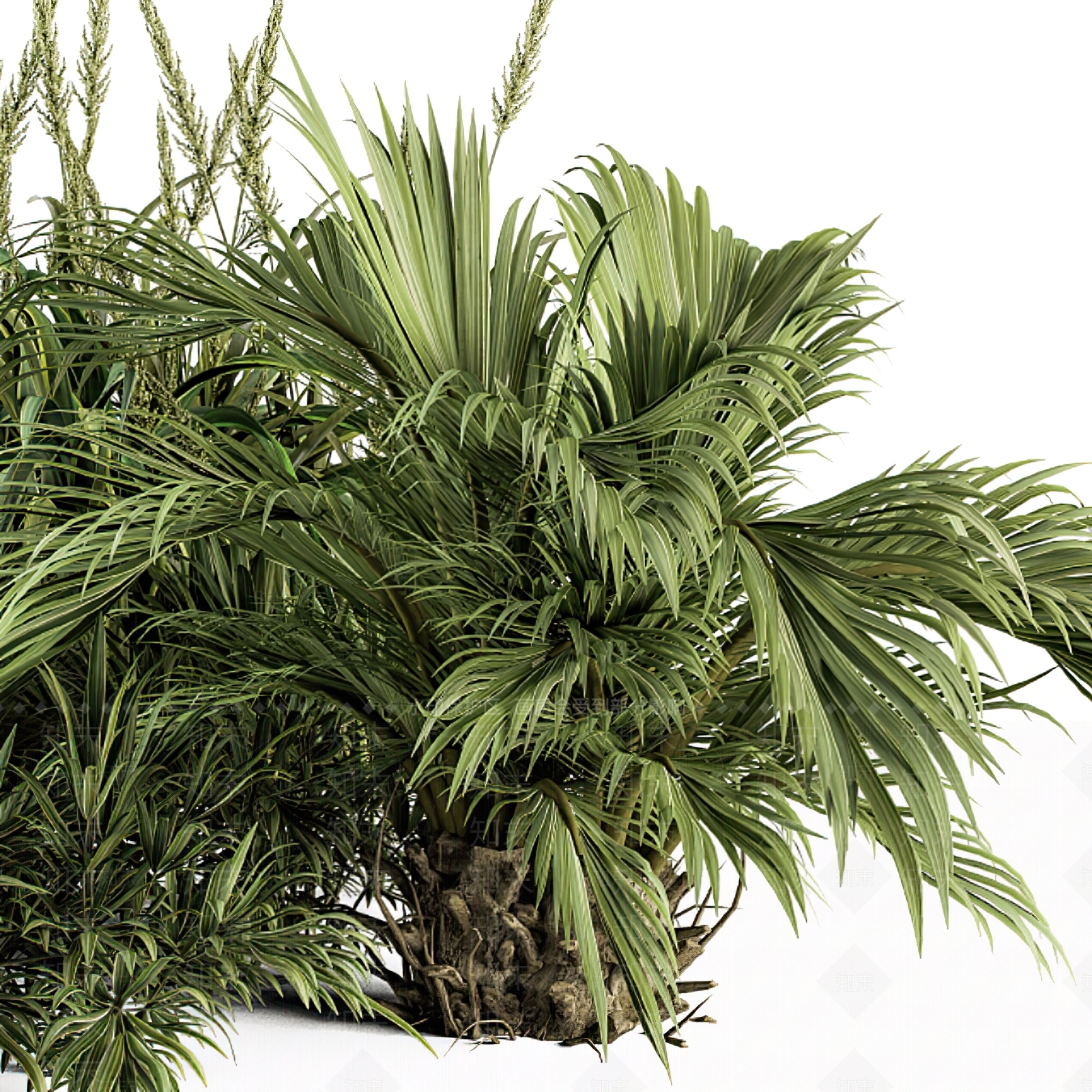 现代植物堆3D模型下载【ID:1106316450】