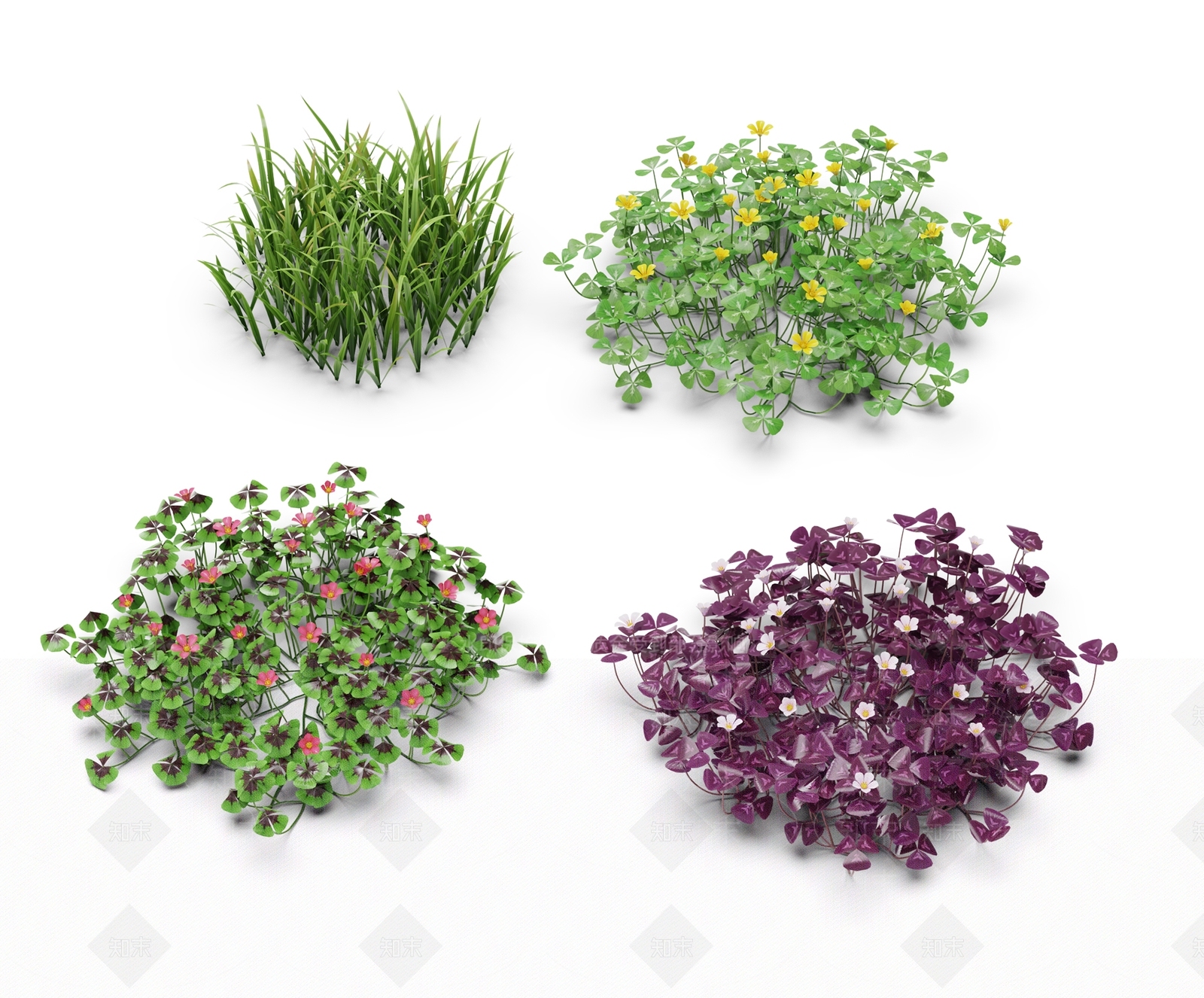 现代花草组合3D模型下载【ID:1106321653】