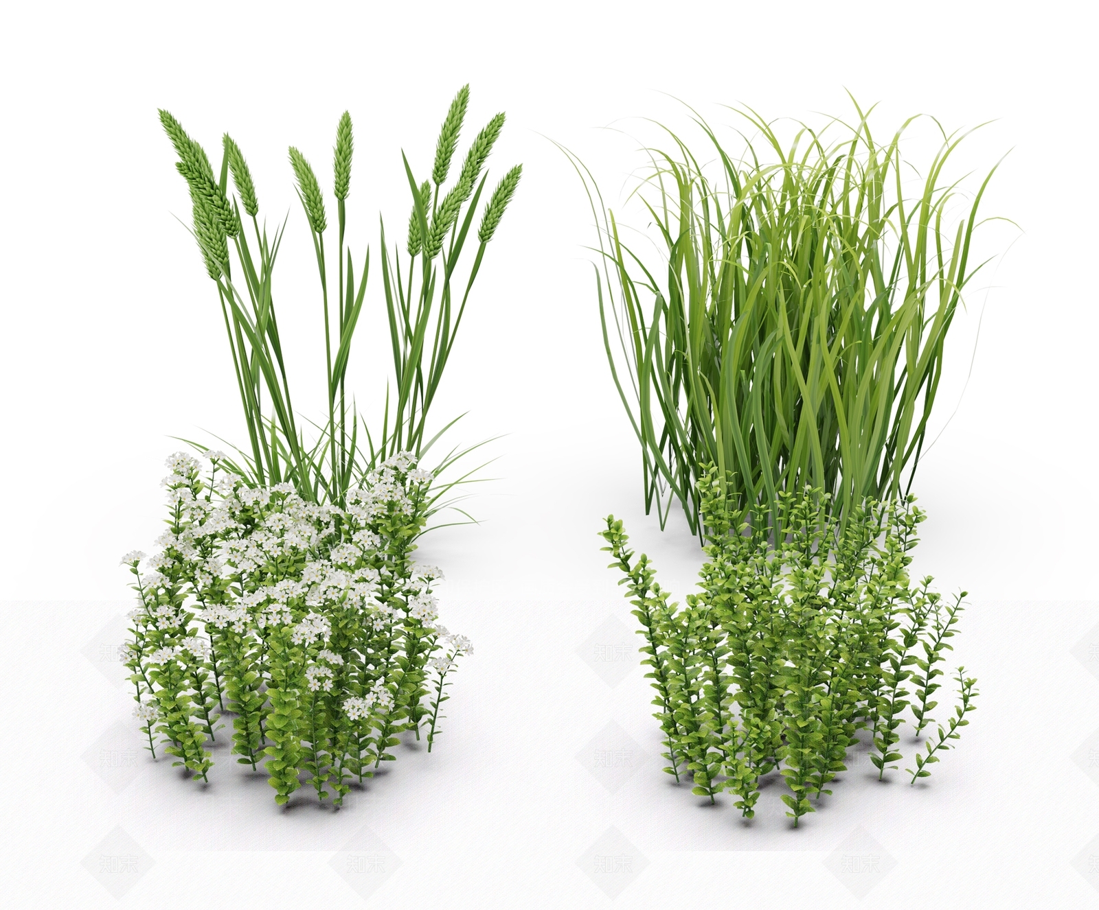 现代花草组合3D模型下载【ID:1106322669】
