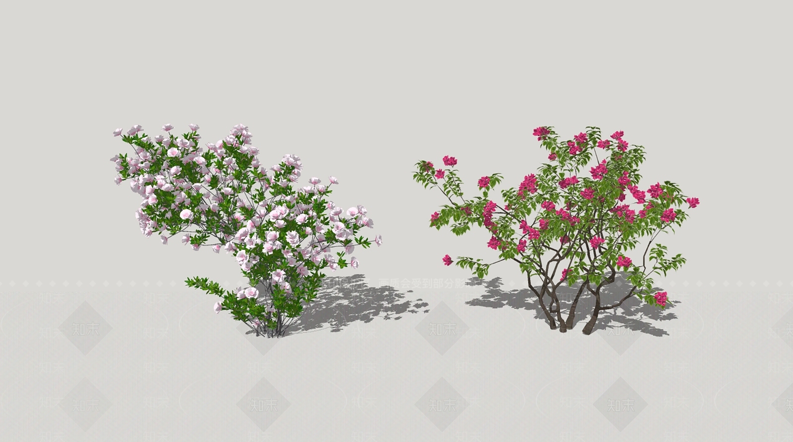 现代蔷薇花SU模型下载【ID:1106400646】