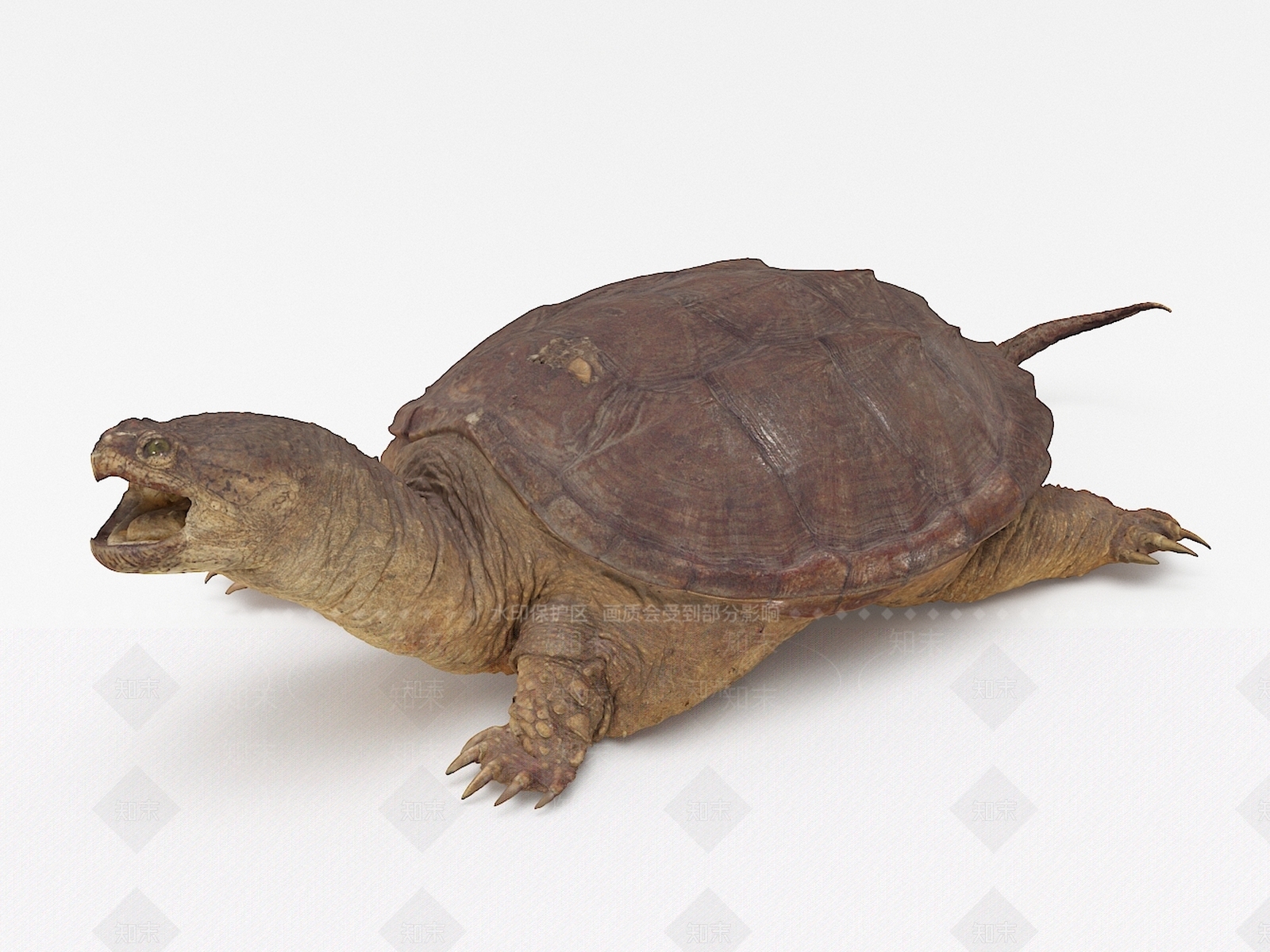 现代乌龟3D模型下载【ID:1106493460】
