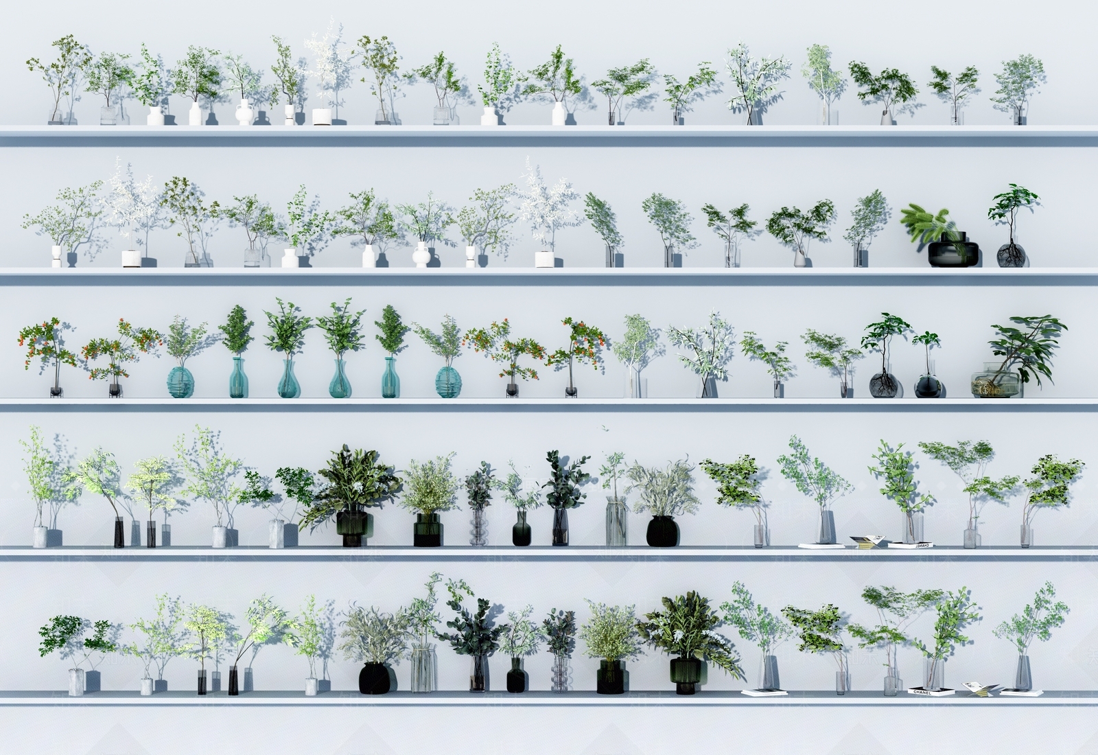 现代水生植物3D模型下载【ID:1106514358】