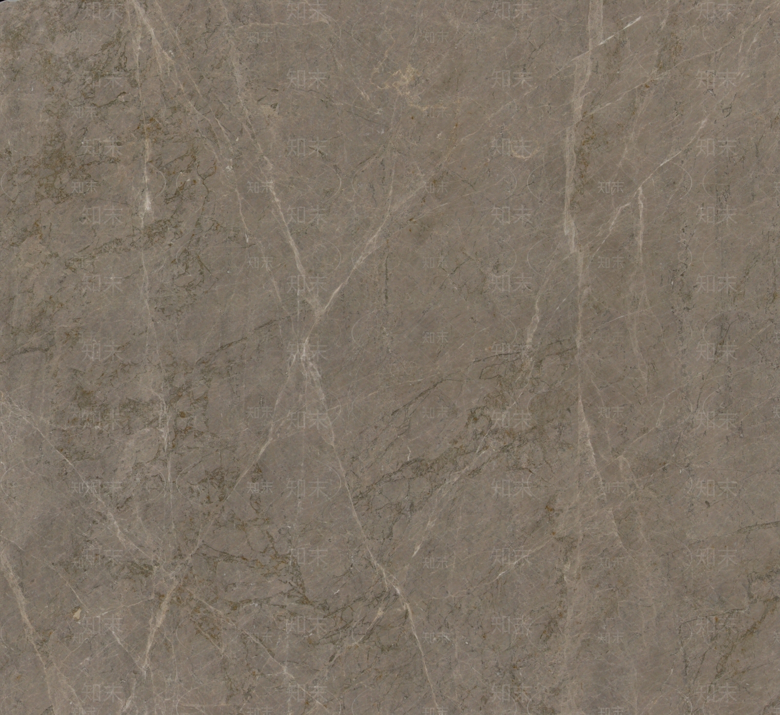 玛雅灰贴图下载【ID:1106530221】