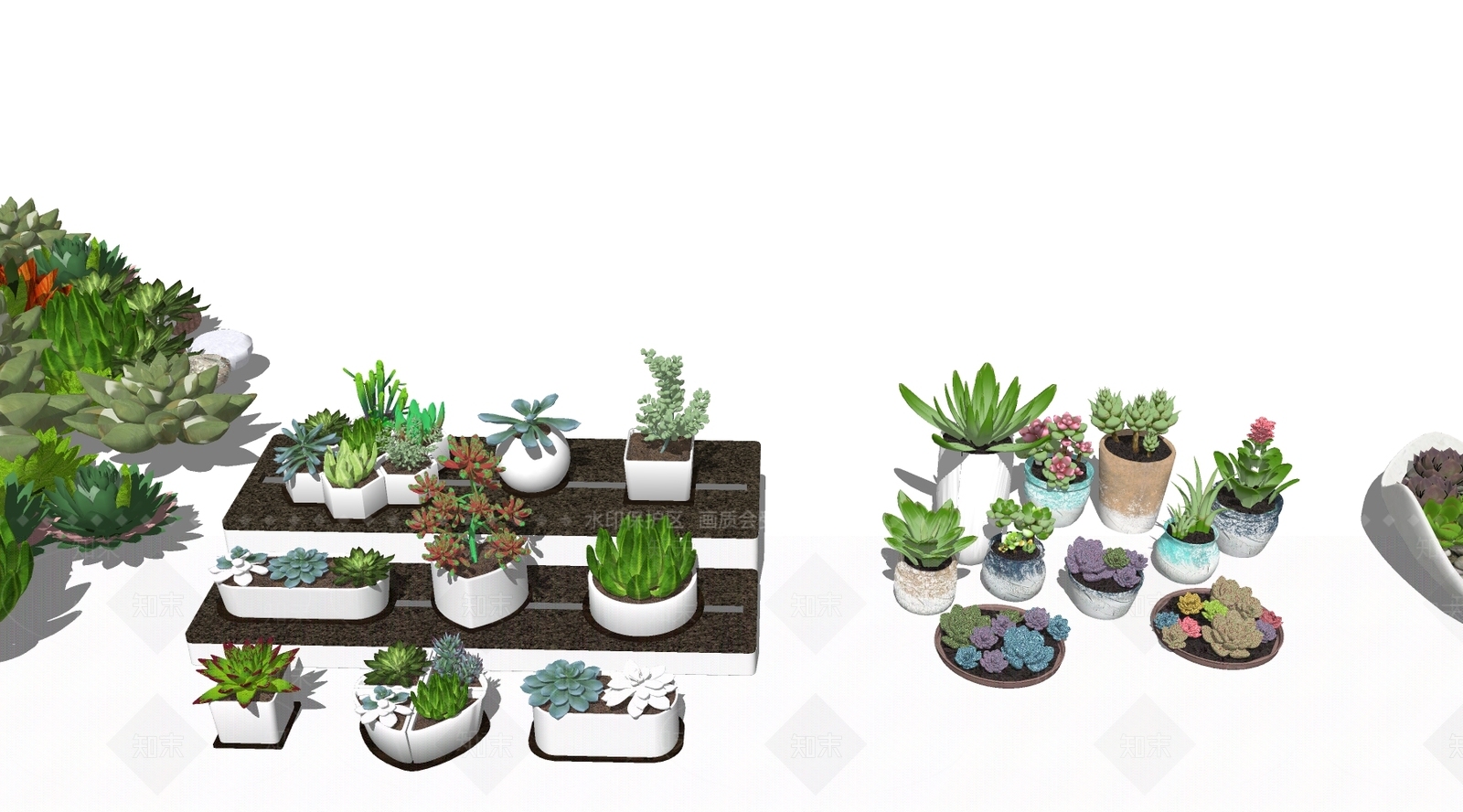现代多肉植物SU模型下载【ID:1106530735】