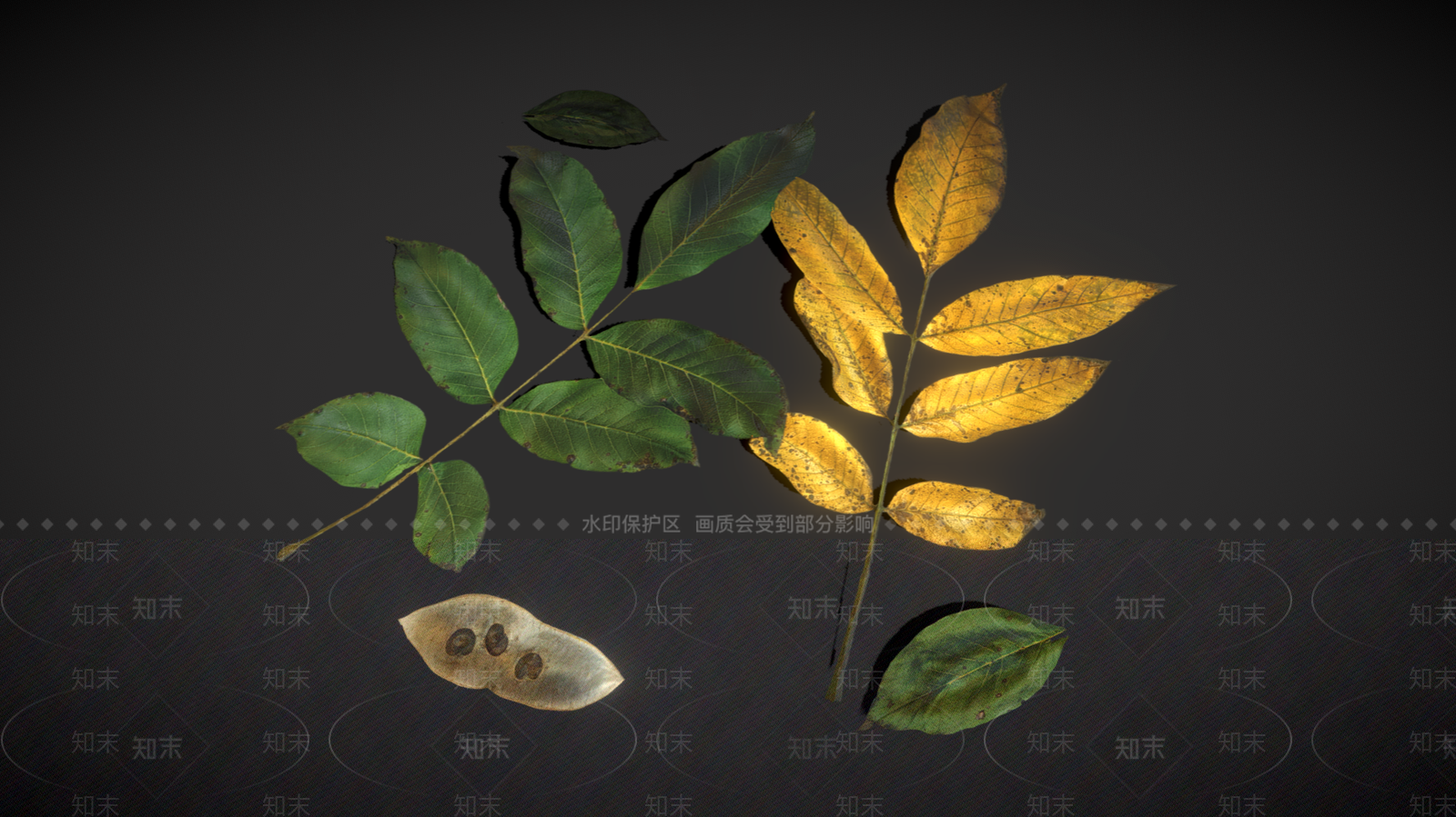 现代树叶3D模型下载【ID:1106599533】