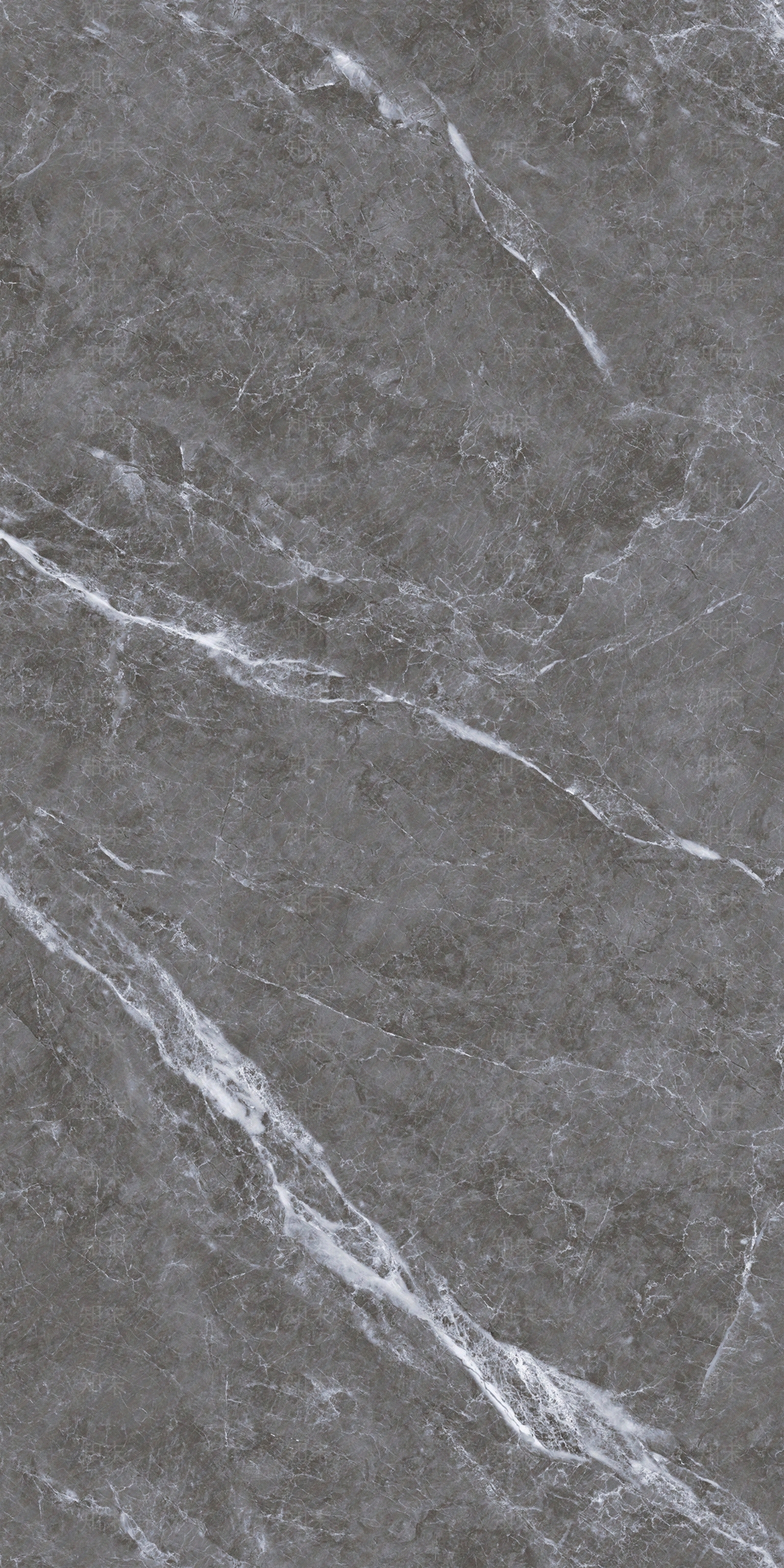 帕斯灰贴图下载【ID:1106611754】