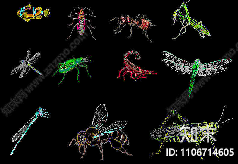 动物类CAD图施工图下载【ID:1106714605】