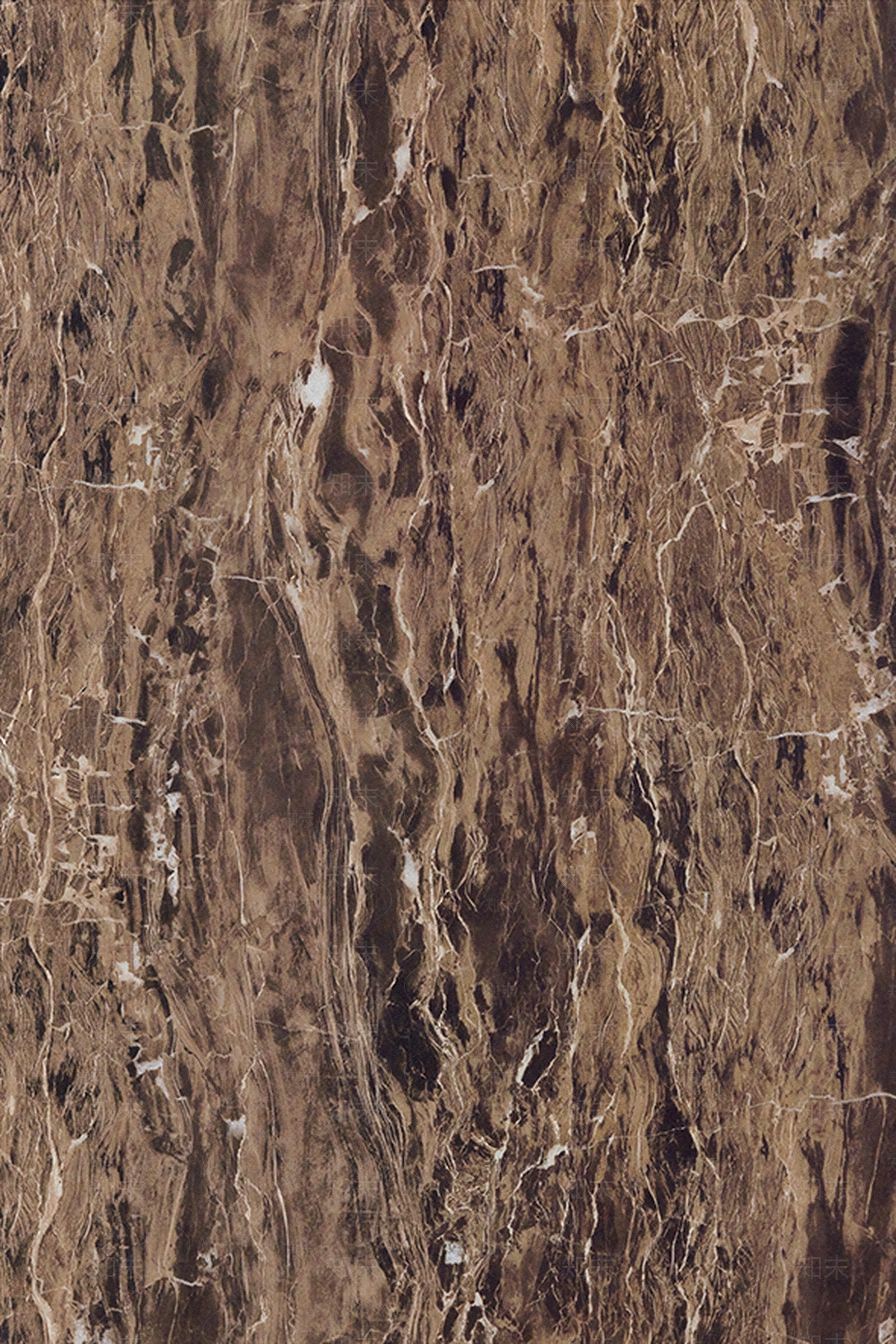 巴黎世家贴图下载【ID:1106750161】