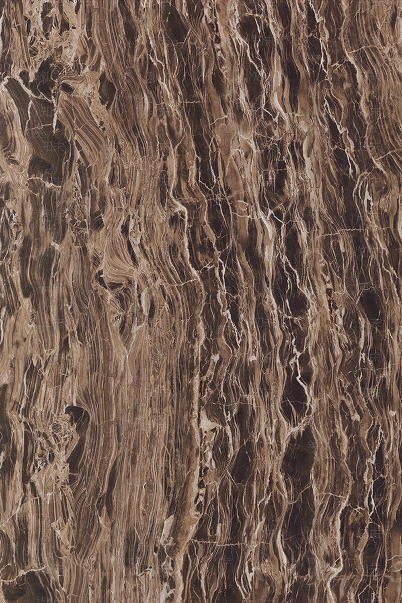 巴黎世家贴图下载【ID:1106750287】