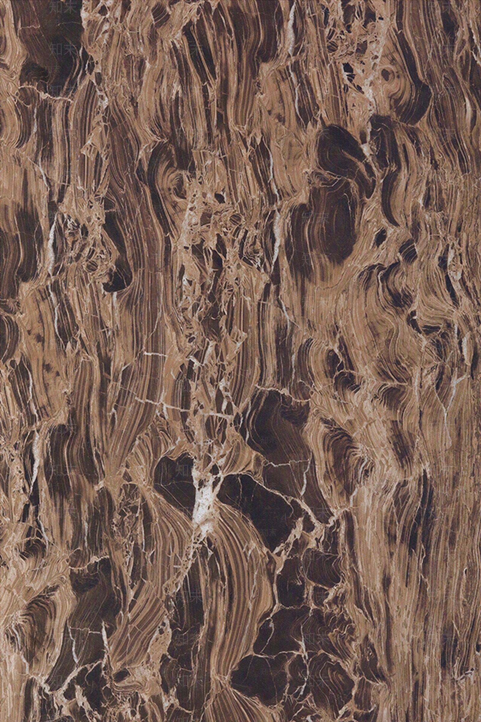 巴黎世家贴图下载【ID:1106750321】