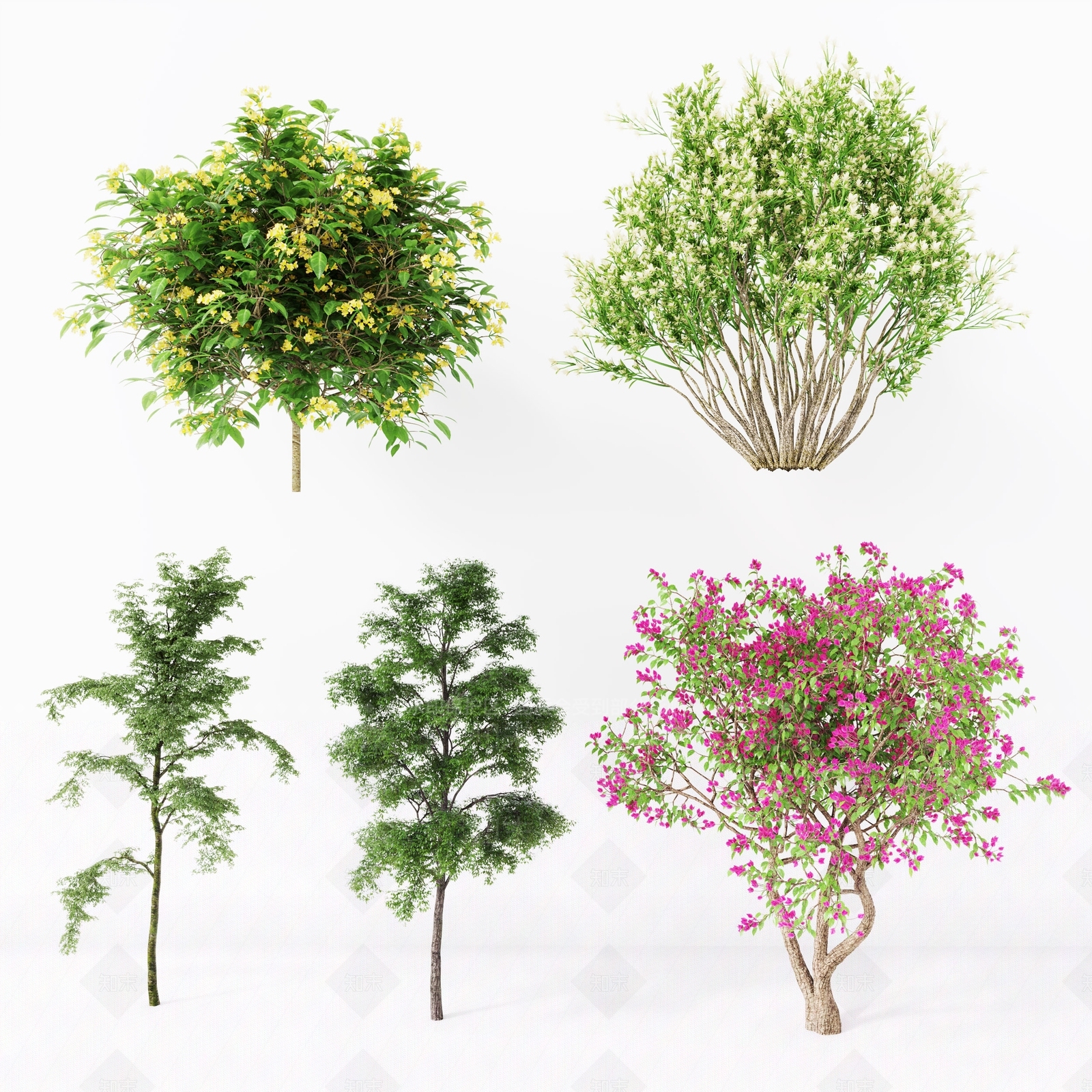 现代乔木3D模型下载【ID:1106801339】