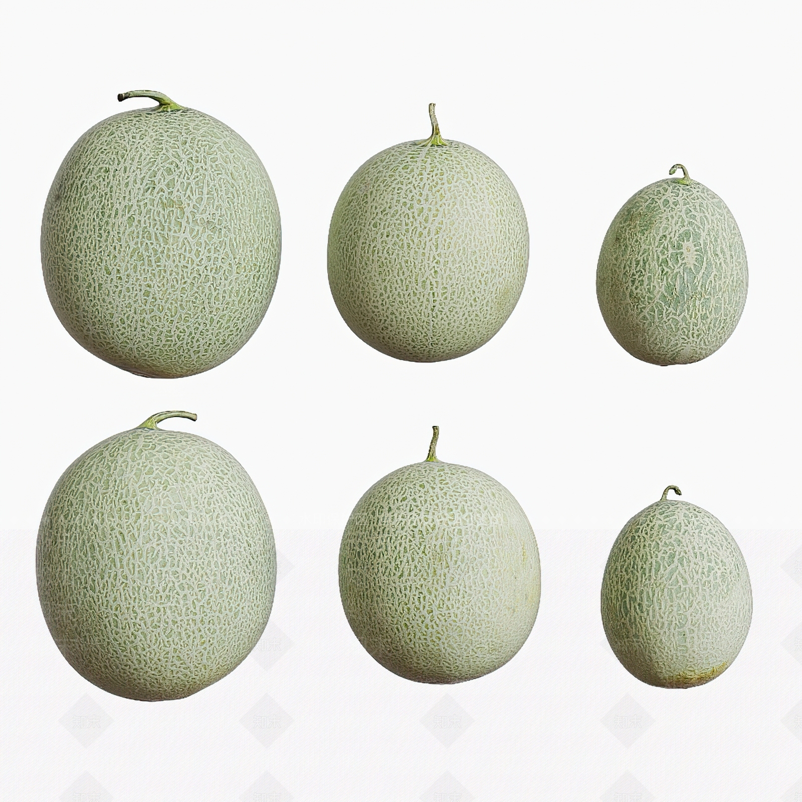 现代哈密瓜3D模型下载【ID:1106808848】