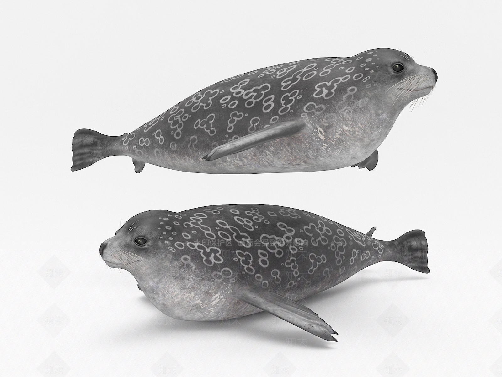 海豹3D模型下载【ID:1106844667】