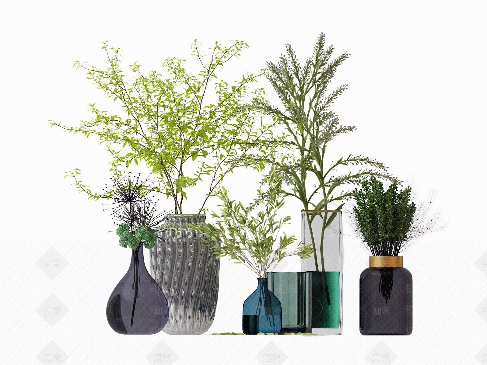 现代水生植物3D模型下载【ID:1106856049】