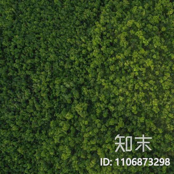 树林贴图下载【ID:1106873298】