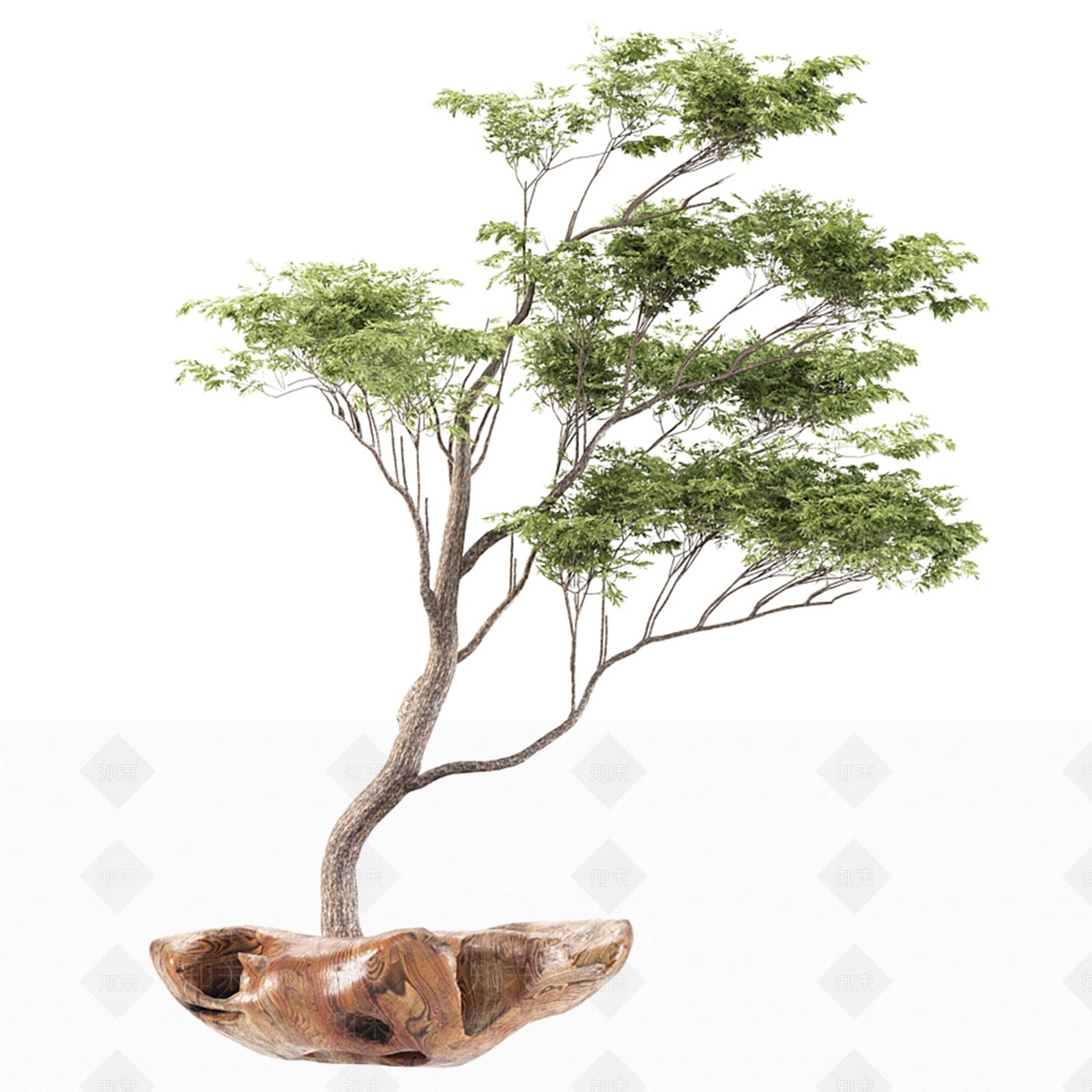 现代树池3D模型下载【ID:1106975550】