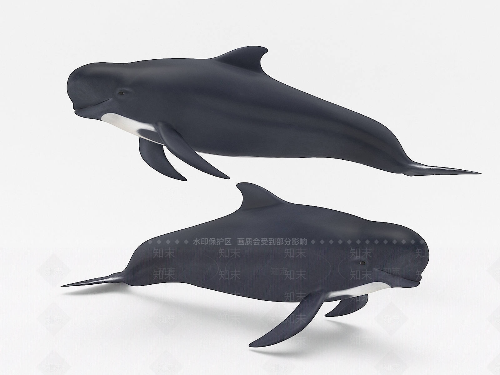 现代鲸鱼3D模型下载【ID:1107062672】