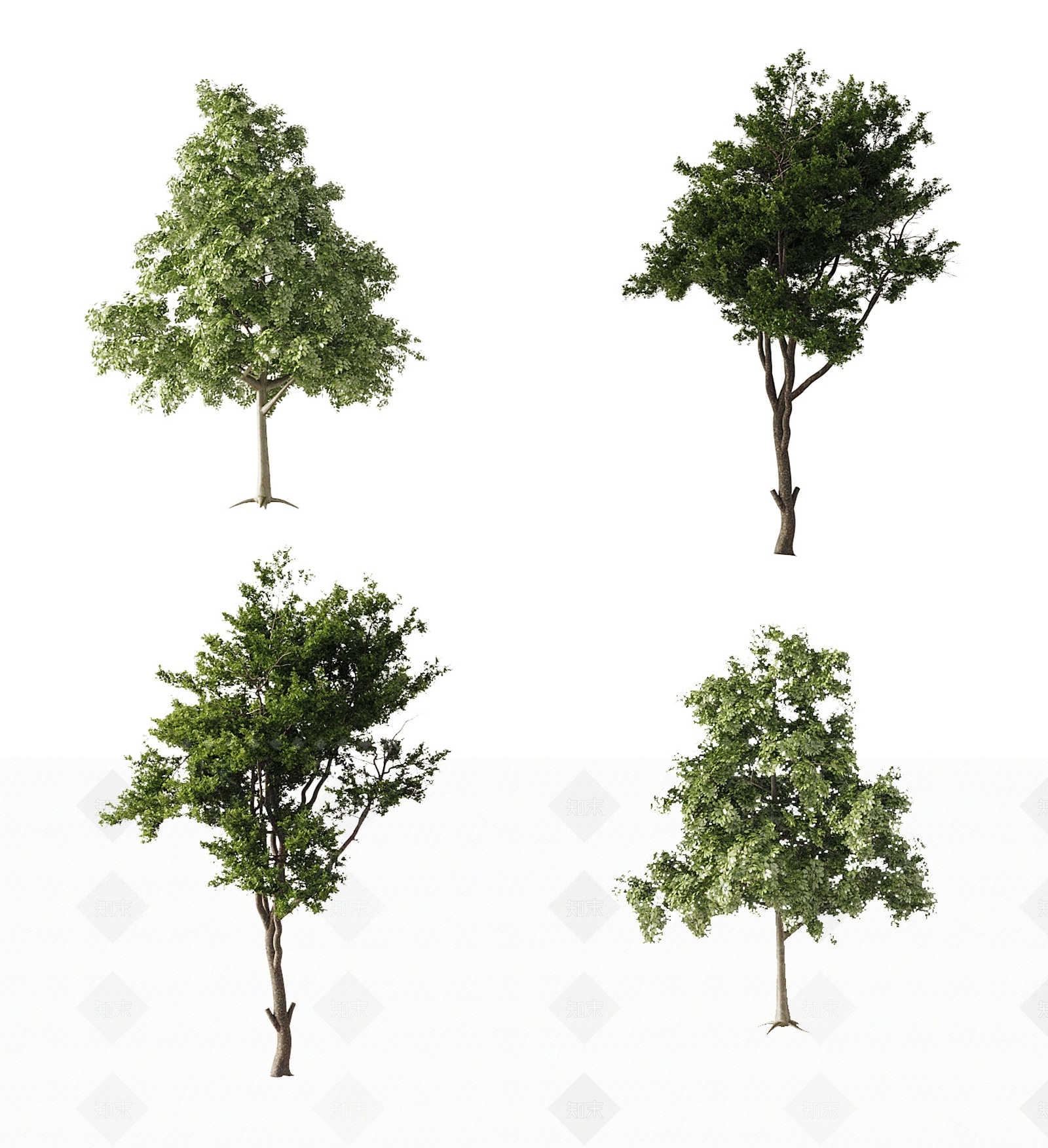 现代乔木3D模型下载【ID:1107064564】