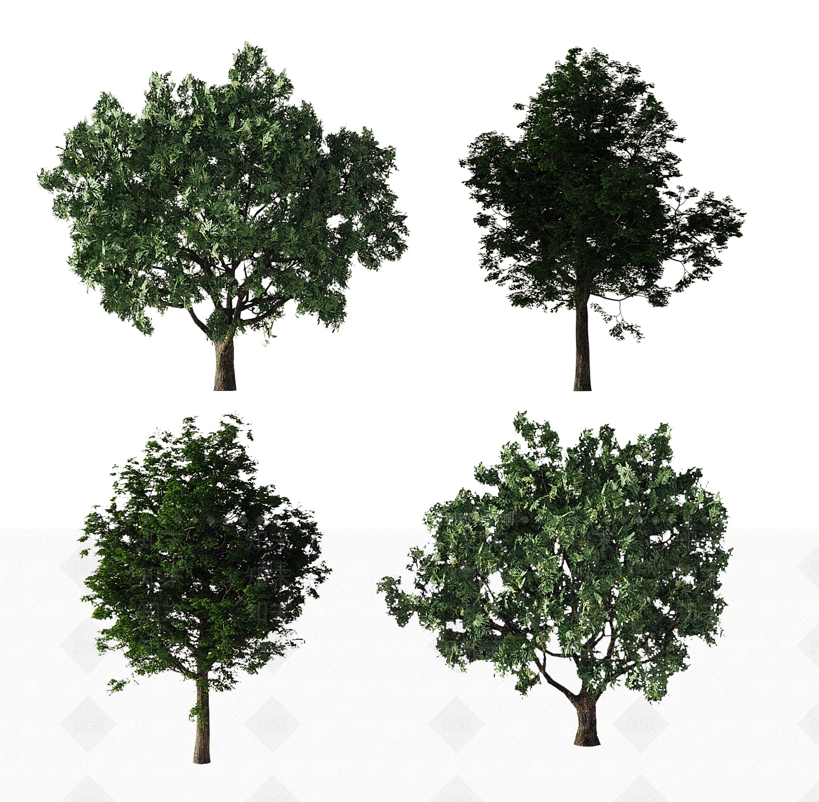现代乔木3D模型下载【ID:1107149261】