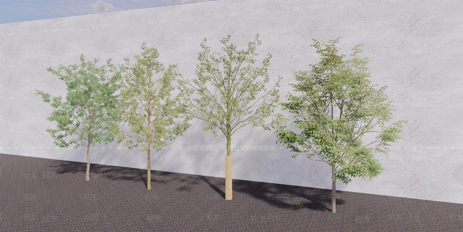 现代行道树SU模型下载【ID:1107179465】