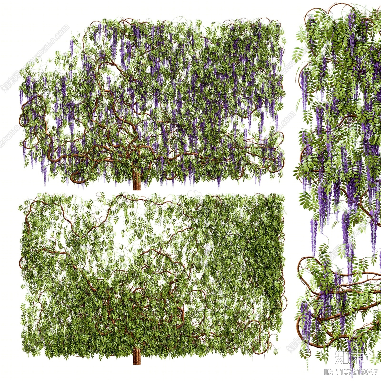 现代爬山虎藤蔓3D模型下载【ID:1107219047】