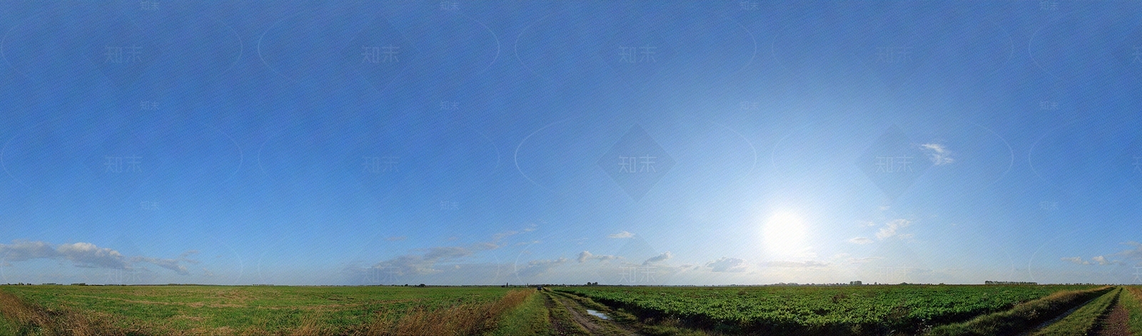 野外晴天无云穹顶全景外景图环境贴图贴图下载【ID:1107339092】