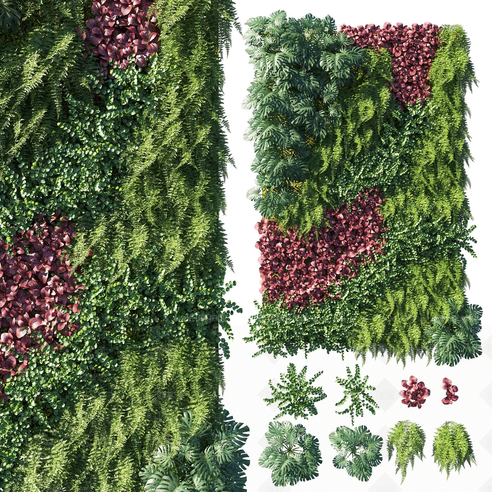 现代绿植墙3D模型下载【ID:1107509465】