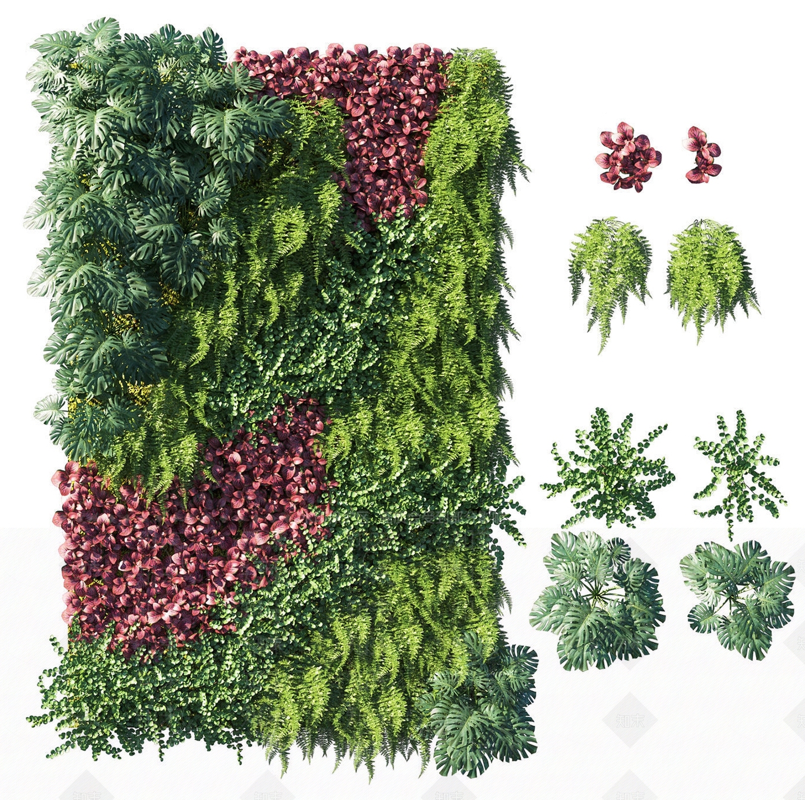 现代绿植墙3D模型下载【ID:1107509465】