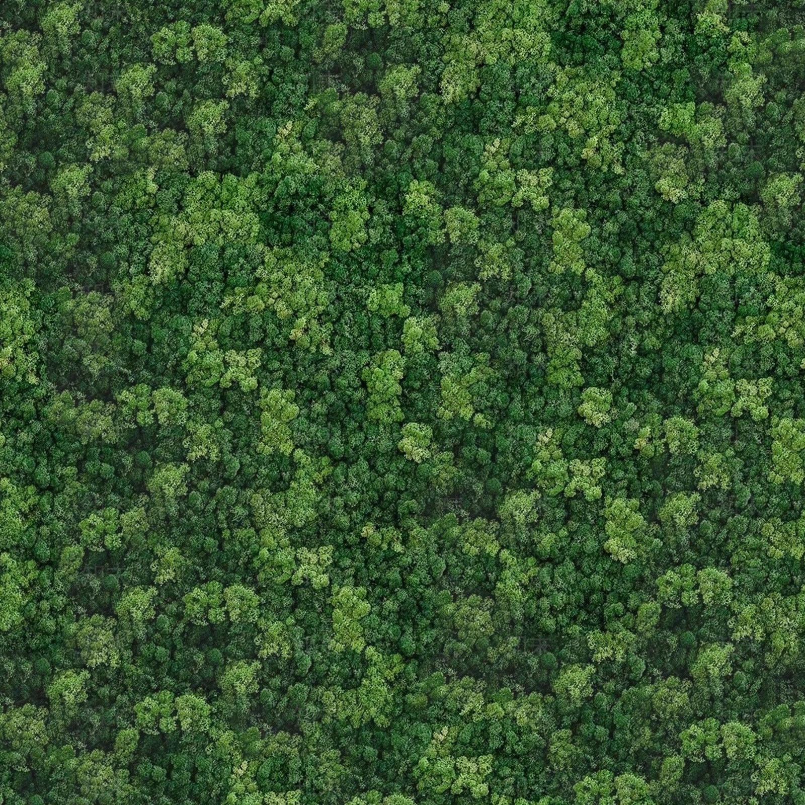 植被贴图下载【ID:1107598897】