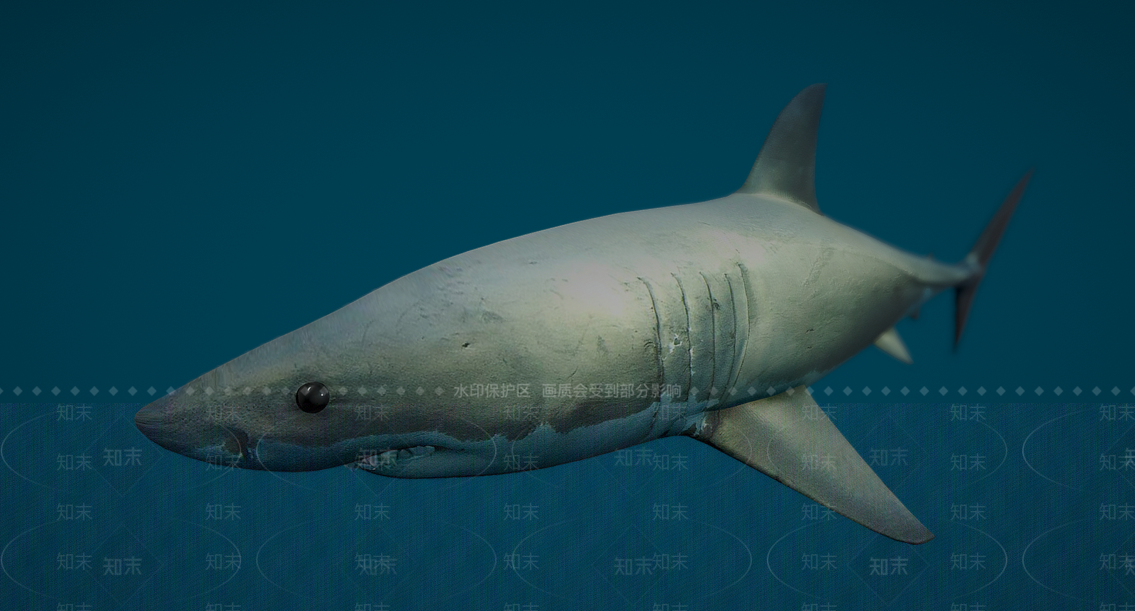 现代鲨鱼3D模型下载【ID:1107616741】