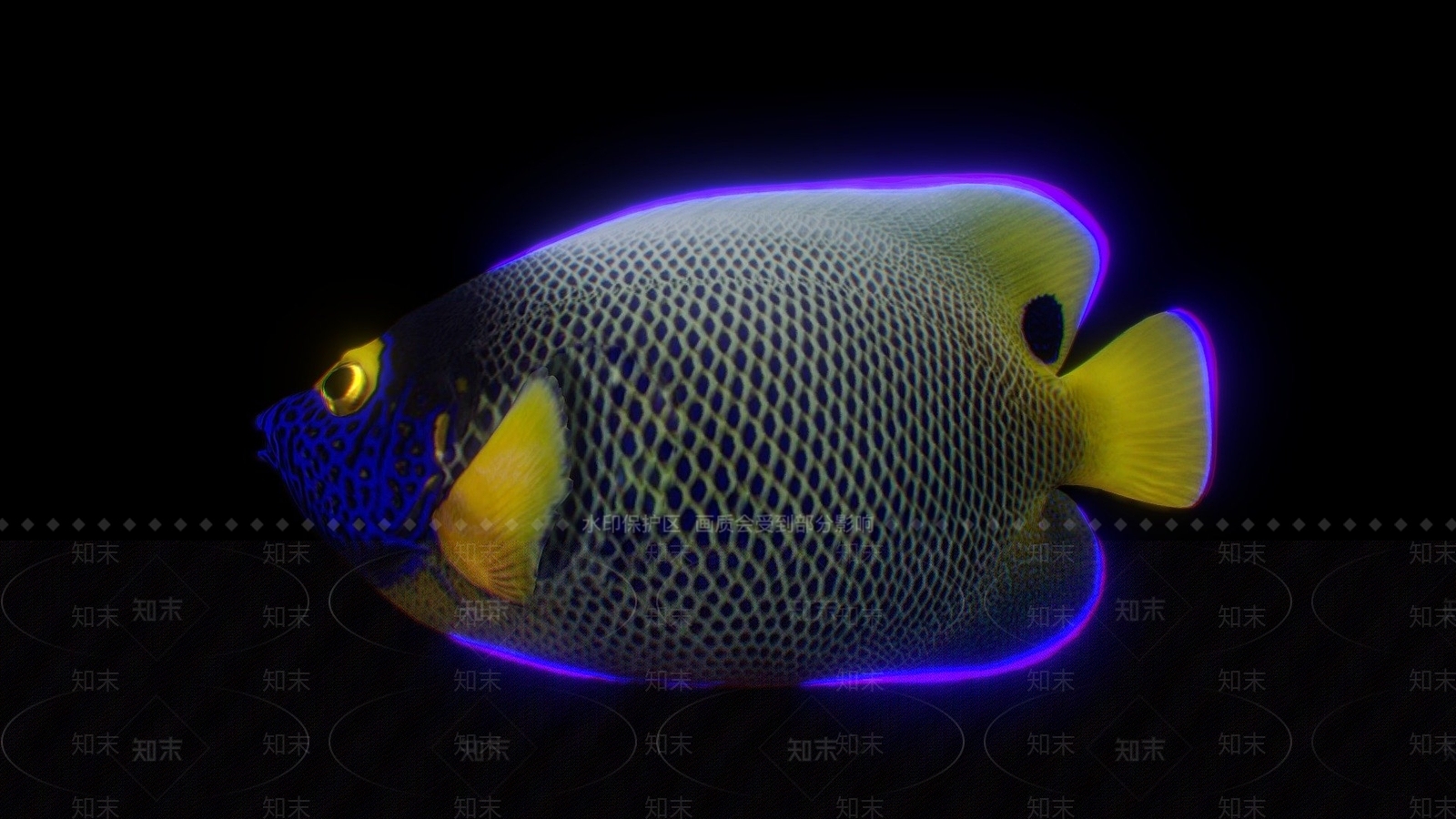 现代鱼3D模型下载【ID:1107616714】