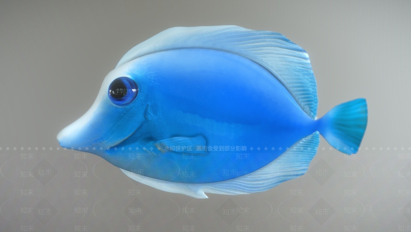 现代热带鱼3D模型下载【ID:1107617180】