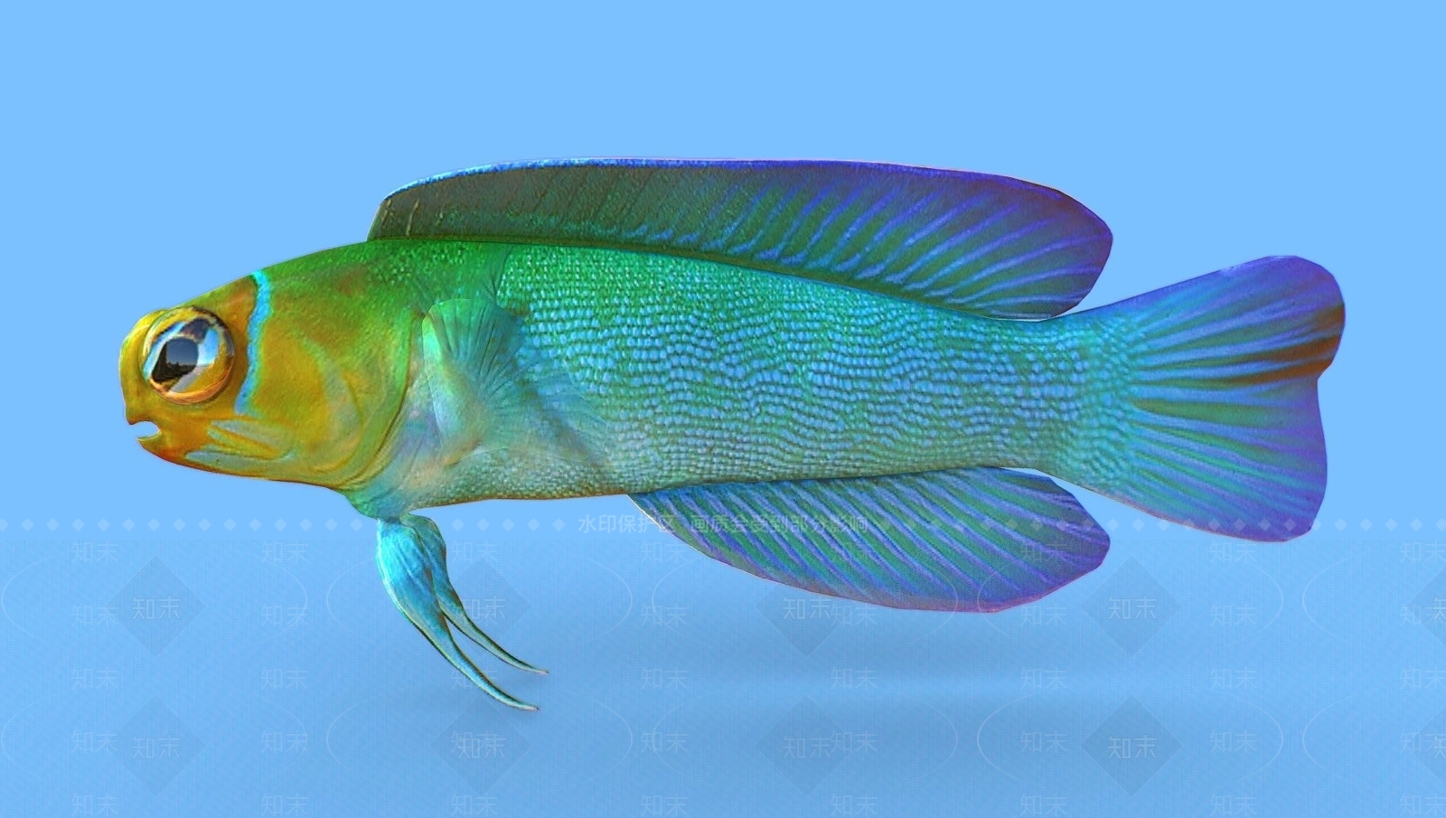 现代鱼3D模型下载【ID:1107617175】