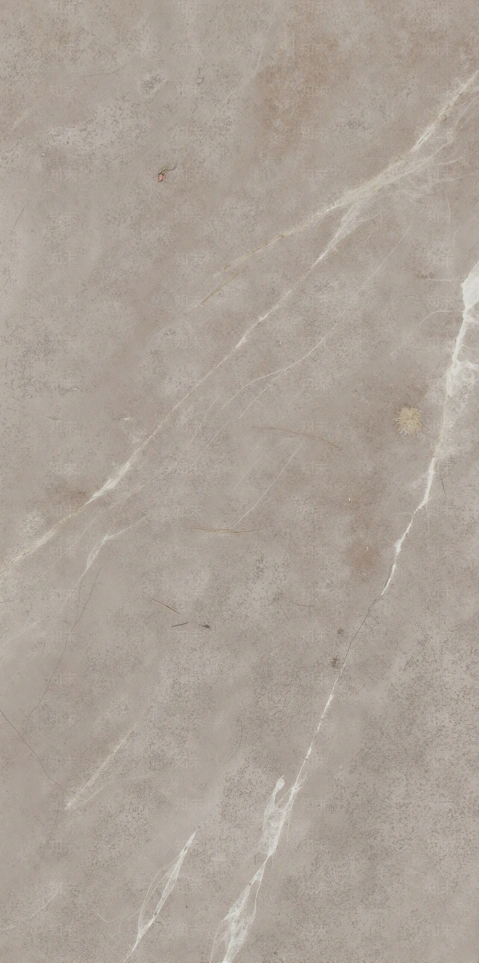 浅咖色大理石贴图下载【ID:1195351925】