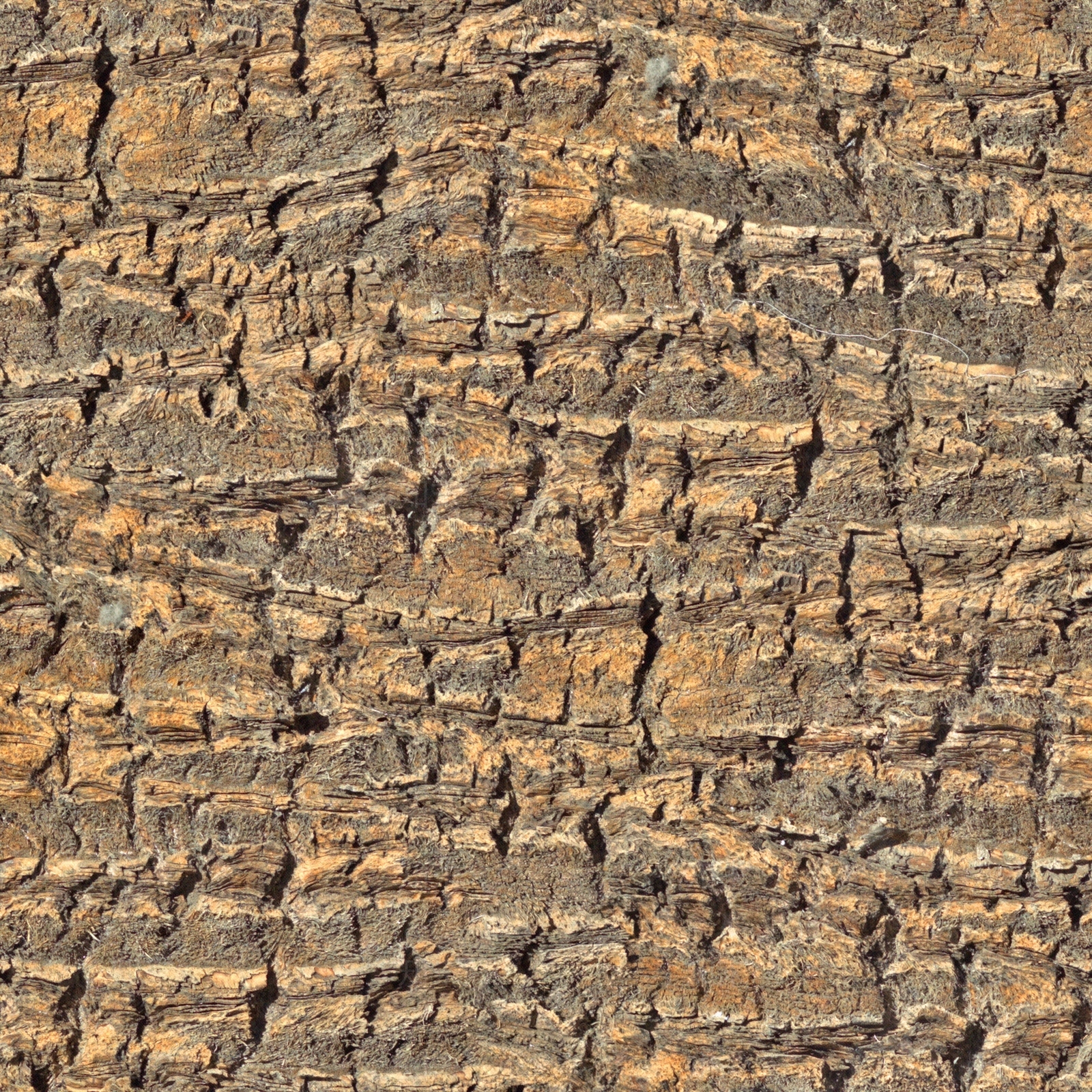 棕榈树皮贴图下载【ID:1107668491】